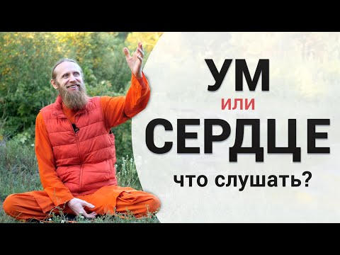 Видео: Ум или сердце — что слушать?