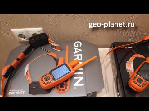 Видео: Garmin Astro 900 - первое знакомство по русски