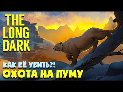 Видео: ОХОТА НА ПУМУ ► THE LONG DARK  ► ПОСЛЕДСТВИЯ СМЕРТИ