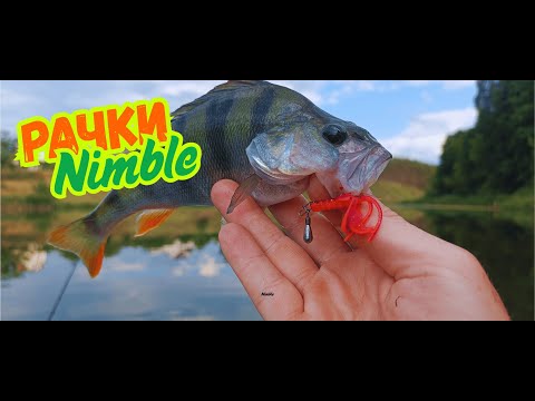 Видео: Рачки  Crazy Fish Nimble що клює на них в літку, Окунь? Щука? А може...