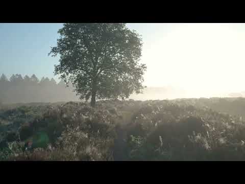 Видео: Пил з доріг і подих неба (нова інтерпретація)