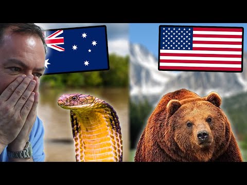Видео: Реакция британцев на самое смертоносное животное в каждой стране