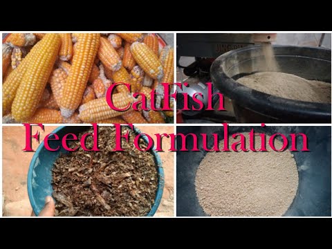 Видео: Дешевый корм для сома (плавающий корм) — ингредиенты, количество и процесс / Состав корма для сома