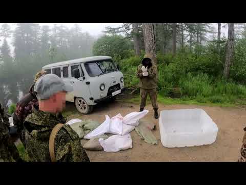 Видео: Задержание на реке Вази /совместный рейд