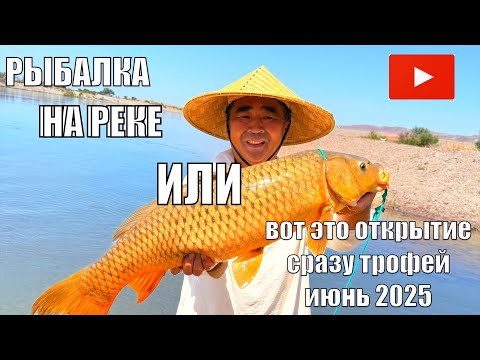 Видео: РЫБАЛКА НА РЕКЕ ИЛИ ОТКРЫТИЕ 2025, ВЯЖЕМ СНАСТИ, ТРОФЕЙНЫЙ САЗАН, КОРЕЙСКАЯ КУХНЯ, ГИГАНТСКИЙ КАРАСЬ