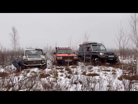 Видео: Немного болота и поздравление Мастеров спорта