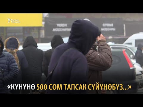 Видео: «Күнүнө 500 сом тапсак сүйүнөбүз...»