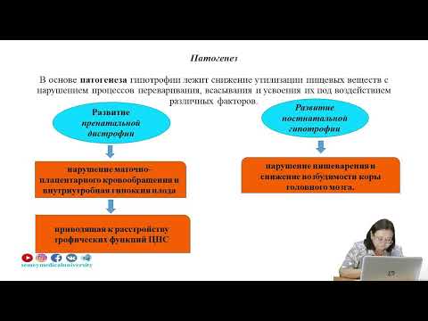 Видео: «Белково энергетическая недостаточность у детей»