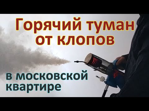 Видео: Горячий туман от клопов в квартире в Москве: порядок уничтожения и состояние помещения до и после