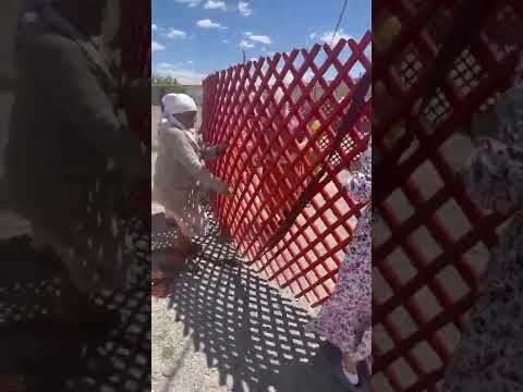 Видео: Киіз үй тігу.