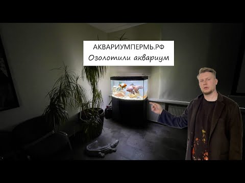 Видео: Озолотили аквариум, добавили seachem matrix и самодельный диффузор