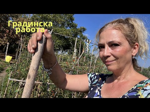 Видео: Ще работим ли? Подготовка за зимата и пауза кафе с вас