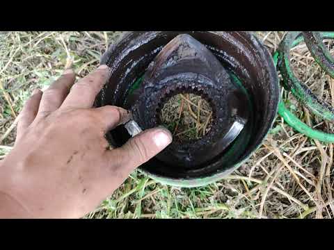 Видео: 17 августа 2021 г.