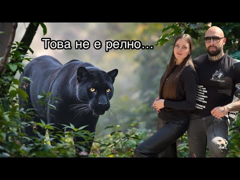 Видео: Видяхме ЧЕРНАТА ПАНТЕРА ,но… не беше това което очаквахме!