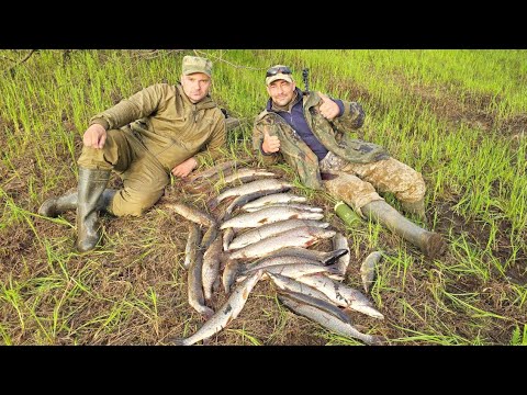 Видео: НЕ ЗРЯ ПРИШЛИ СЮДА! ПОЙМАЛИ УДАЧУ ЗА ХВОСТ / ЗА ЧАС 30 КИЛОГРАММ ЩУКИ НА СПИННИНГ / РЫБАЛКА НА ОЗЕРЕ