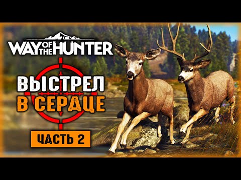 Видео: НОВЫЙ СЕЗОН ОХОТЫ! ВЫСТРЕЛ В СЕРДЦЕ! | Way of the Hunter 🐻 | Часть #2