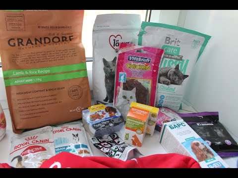 Видео: ПОКУПКИ ИЗ ЗООМАГАЗИНА!!!\ЛЕЖАНКА,КОРМ,КОФТА