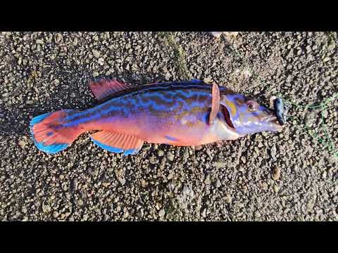 Видео: Делаем выбор. Заманчивое... 