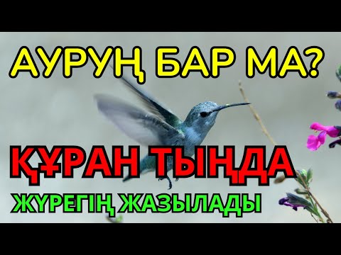 Видео: ҚҰРАН ЕМІ – ТЕК 5 МИНУТТА ШИПАҢДЫ ТАПАСЫҢ!
