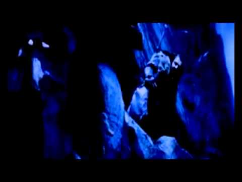 Видео: Торин Бильбо  Мой гость