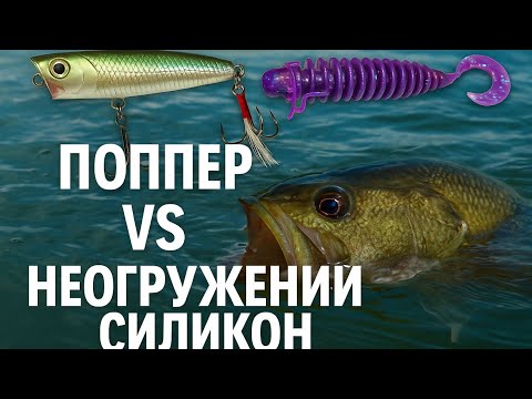 Видео: День експериментів: ПОППЕР VS НЕОГРУЖЕНИЙ СИЛІКОН