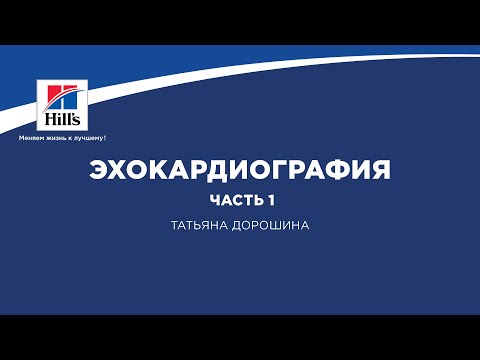 Видео: Вебинар на тему: «Эхокардиография. Часть 1». Лектор – Татьяна Дорошина
