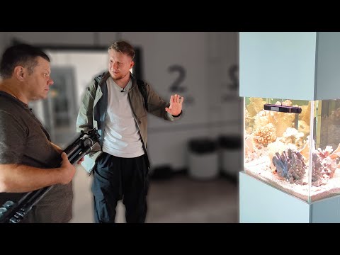 Видео: Замечательные проекты Александра Полимонова г.Пермь. Великое путешествие.