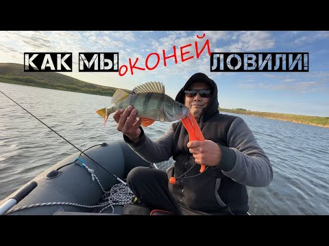 Видео: Приятная рыбалка на Селете! ТАКОГО КОНЯ мы не ожидали!!!
