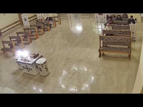 Видео: Трансляція