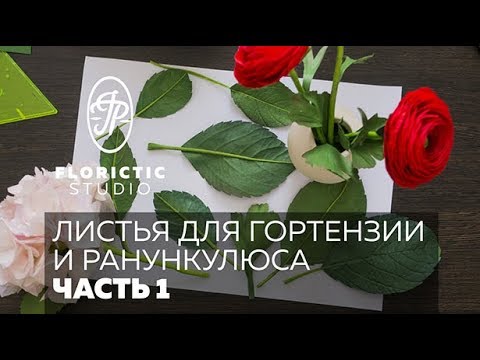Видео: Листья для гортензии и ранункулюса (Чась1 "Лист гортензии")