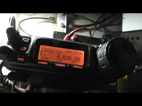 Видео: Пираты на 4630 КГц