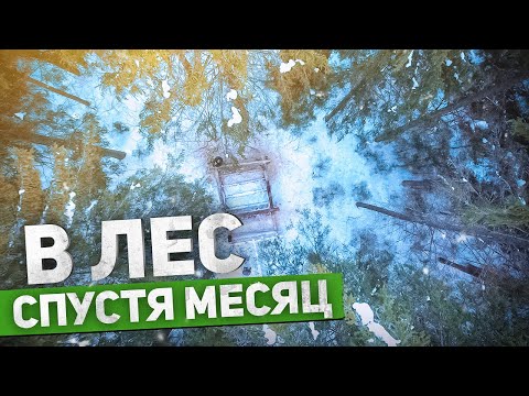 Видео: Изба в лесу | ЛЕСНОЙ ДОМ | ЗЕМЛЯНКА | ИЗБА | FOREST HOUSE | DUGOUT | HUT