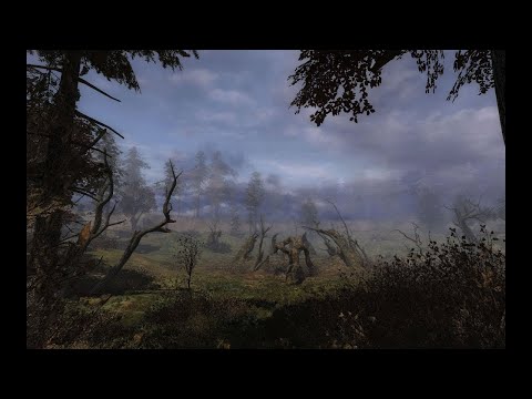 Видео: Dayz - Anomaly Chernarus Pve: Приключение нуба на Скалистом