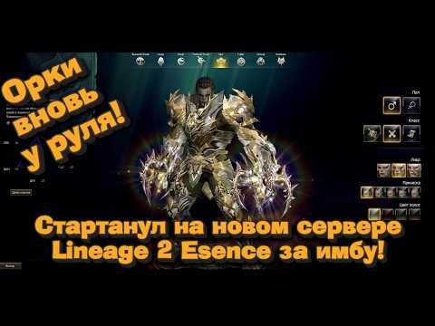 Видео: Стартанул на новых серверах и вот чего достиг за 2 дня в Lineage 2 Essence за имбу против 5 соперник