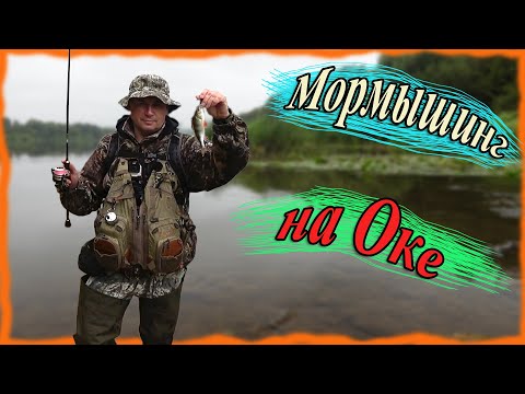 Видео: Мормышинг на Оке. Голавль, ерш, бычок...