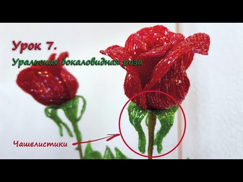 Видео: Бокаловидная роза. 🌹 Урок 7 - Чашелистики / Cup-shaped rose. Lesson 7 - Sepals