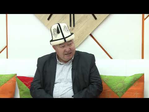 Видео: Тынчтыкбек Чоротегин: "Википедияга 10 күндүн ичинде 100 миң маалымат киргизсе болот"