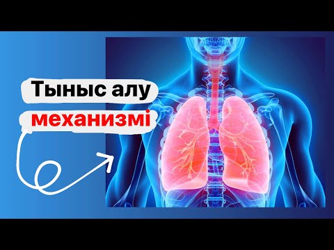 Видео: Тыныс алу жүйесі.Тыныс алу механизмі.