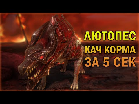 Видео: ЛЮТОПЕС - качер корма за 5 сек - RAID Shadow Legends