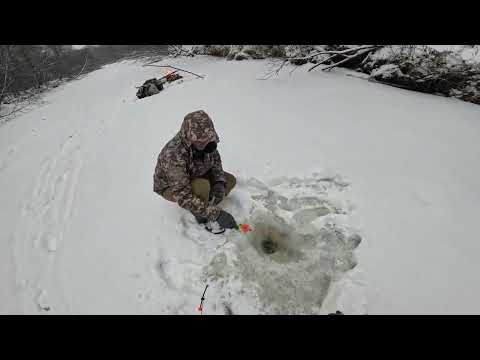 Видео: Рыбачим на таежной речке!