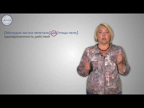 Видео: Русский язык. 9 класс. Синтаксический и пунктуационный разбор сложносочиненного п.