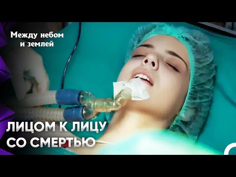 Видео: Найдите мне эту тварь раньше полиции | Между небом и землей