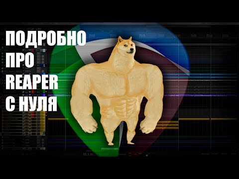 Видео: REAPER с нуля для самых отважных