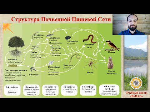 Видео: Мастер-класс Почвенная Пищевая Сеть - Биотехнология растениеводства от самой Природы!