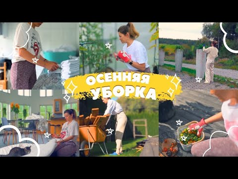 Видео: 🍂🌾Осенняя  уборка | Готовлю участок к зиме