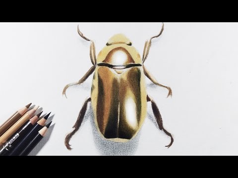 Видео: Как нарисовать золотой/металлический предмет цветными карандашами — Золотой жук.