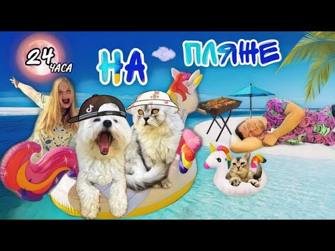 Видео: 24 ЧАСА НА ОСТРОВЕ С КОТАМИ! УДЕРЖИСЬ НА ЕДИНОРОГЕ ЧЕЛЛЕНДЖ