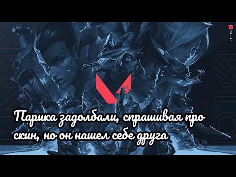Видео: ВАЛОРАНТ: ПАРИКА ЗАДОЛБАЛИ, СПРАШИВАЯ ПРО СКИН, НО ОН НАШЁЛ СЕБЕ ДРУГА.