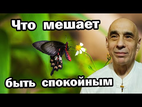 Видео: Как успокоить беспокойный ум?