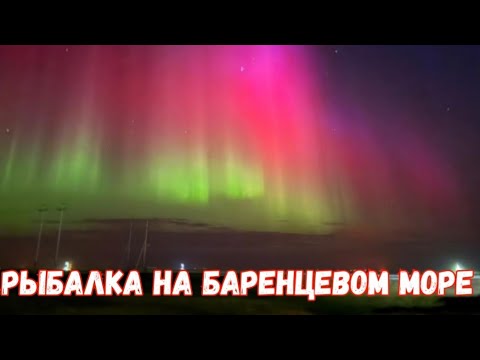 Видео: Рыбалка на баренцевом море 🌊